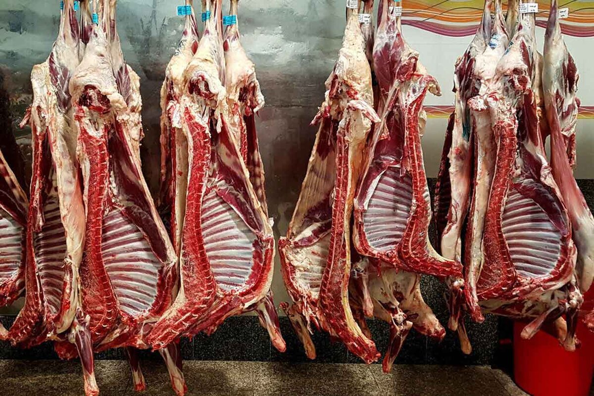 تمام واحدهای تولید دام و طیور در اصفهان فعال هستند