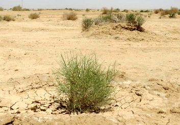 ائتلاف صنعت و منابع طبیعی برای نجات اصفهان؛ از تعهد ۱۵۰۰ هکتاری بیابان‌زدایی تا خلاء اعتبار ۷ هزار میلیارد تومانی