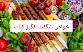 12 خواص شگفت انگیز کباب با مضرات، طبع و مصلح آن