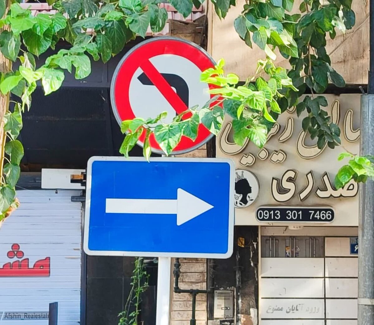  از کدام سو؟