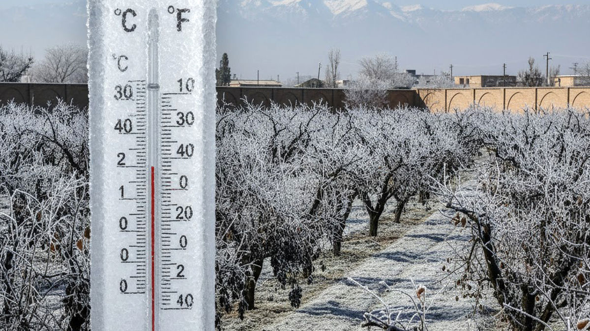 زنگ خطر سرمازدگی در اصفهان؛ موج قطبی، دما را تا ۱۰ درجه زیر میکشد!