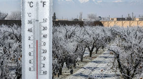 زنگ خطر سرمازدگی در اصفهان؛ موج قطبی، دما را تا ۱۰ درجه زیر می‌کشد!