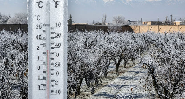 زنگ خطر سرمازدگی در اصفهان؛ موج قطبی، دما را تا ۱۰ درجه زیر می‌کشد!