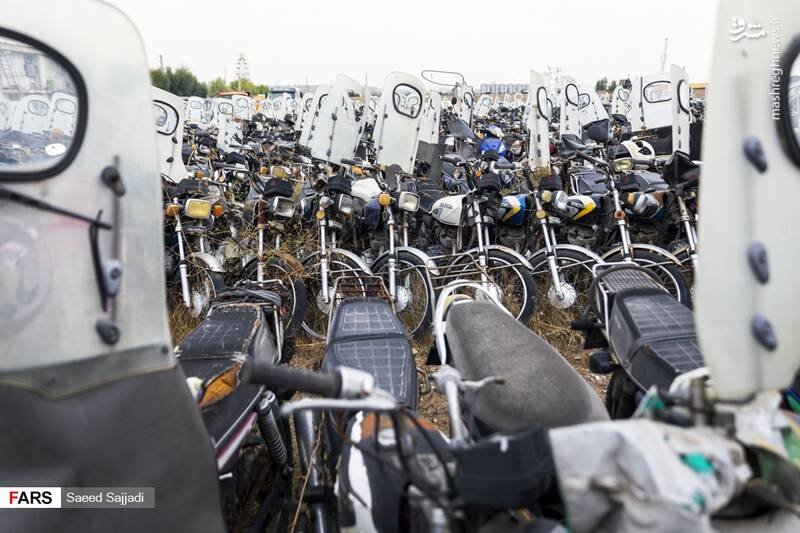 دست سارق دوچرخه و موتورسیکلت رو شد